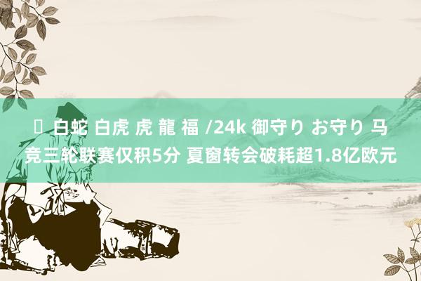 ✨白蛇 白虎 虎 龍 福 /24k 御守り お守り 马竞三轮联赛仅积5分 夏窗转会破耗超1.8亿欧元