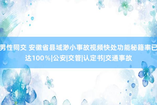 男性同交 安徽省县域渺小事故视频快处功能秘籍率已达100％|公安|交管|认定书|交通事故